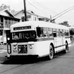 the allendale trolley