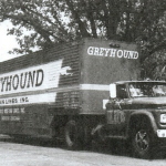 greyhound moving