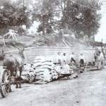 oakland cemetary 1905