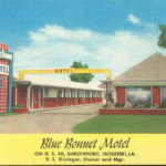 blue bonnett