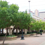 shreve square