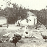 chores 1900