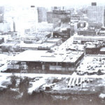 expo 1981