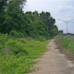 wright island