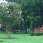 mounds plantation