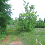 lambert lake southern hills