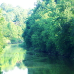 brushy bayou flournoy-lucas