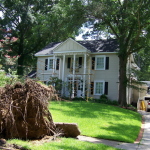 tree done tumped over