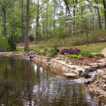 watergardens in spring