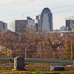 skyline from greenwood cemetary