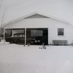 hollyhock in southern hills 1962