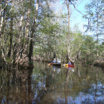 canoes upstream