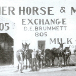 Bossier horse and mule exchange