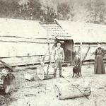 logging camp in 1905