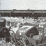 Port of Shreveport in 1860