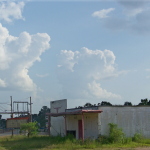 the longbranch